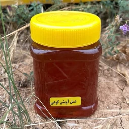 فروش عسل آویشن